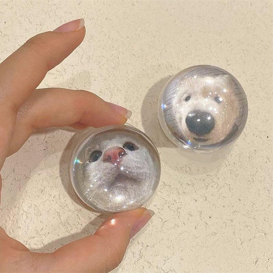 #S0022 Factory Wholesale 3D Crystal Ball Cat PopSockets phone PopGrip, adjustable cellphone stand, retractable smartphone holder, phone mount support, Folding Kickstand, handheld accessories