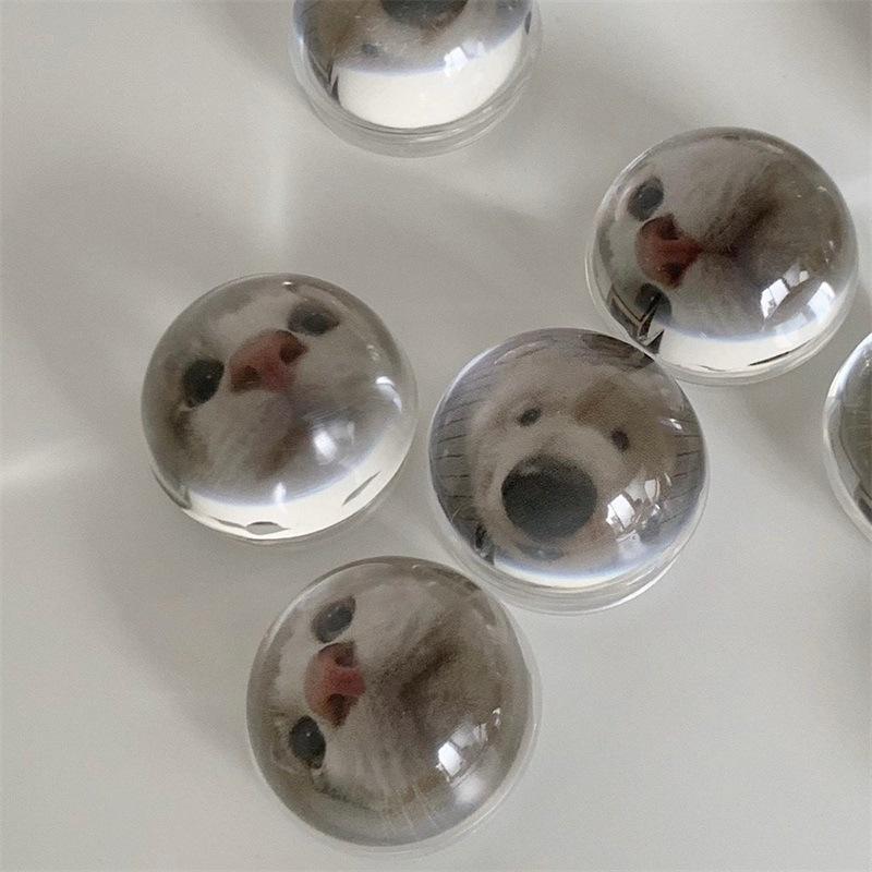 3D Crystal Ball Cat PopSockets phone PopGrip, adjustable cellphone stand, retractable smartphone holder, phone mount support, Folding Kickstand, handheld accessories